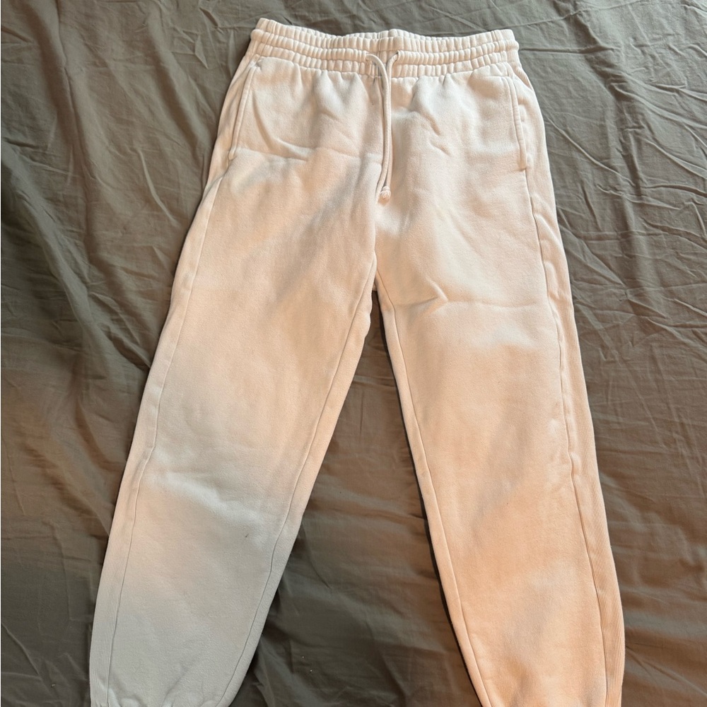Aritzia joggers